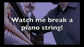 Watch me break a piano string during a tuning