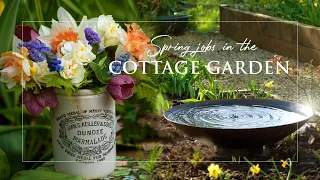 Spring Cottage Garden | Spring Seed Sowing | Spring Equinox | Solar Water Feature | Forest Sounds