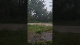 Rain in Texas