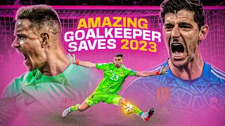 Amazing Goalkeeper Saves 2023