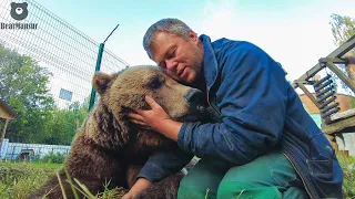 Complete examination of the bear Mansur by the best specialists of the Wildlife Hospital🐻🧬