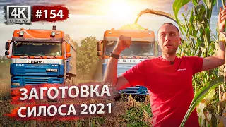 ЗАГОТОВКА СИЛОСА 2021. Уборка кукурузы, логистика и консервация. Результаты по демо-полях пшеницы.