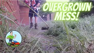 Overgrown Yard Gets Tamed #3