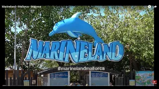 Marineland - Mallorca - Majorca