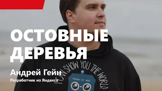 Лекция 4. Остовные деревья