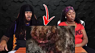 MUST SEE!! | CASUAL GEOGRAPHIC - WHEN ANIMALS BECOME SERIAL KILLERS (REACTION)