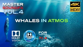 DOLBY ATMOS "Whales in Atmos" - RAY TRACING AUDIO MASTER FX DEMO [4KHDR] DV (DOWNLOAD AVAILABLE)