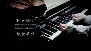 【Bi.Bi Piano】钢琴｜终于弹了这首 致爱丽丝 Für Elise 贝多芬