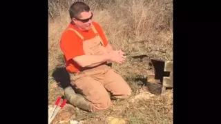 How to catch bobcats in bodygrip traps.