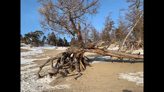 Большое Голоустное- Бухта Песчанка