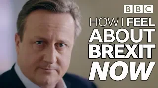 David Cameron finally breaks his silence on Brexit referendum - BBC