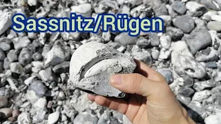 Fossiliensuche an der Küste bei Sassnitz/Rügen.  Fossil search on the coast near Sassnitz/Rügen.