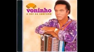 Voninho  1998  O Rei Da Sanfona CD Completo