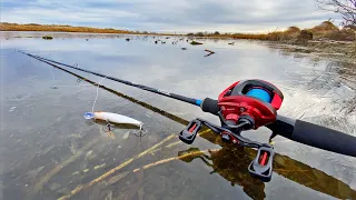 Рыбалка на щуку. Поехал ловить Спиннингом, а там уже Первый лёд! 🥶 Что было дальше?