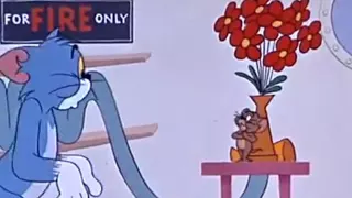 Tom and Jerry Classic Episode 121 – Calypso Cat