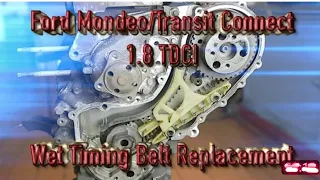 Форд 1.8 дизель Замена ремня ГРМ  Ford Mondeo/ Transit Connect 1.8TDCI