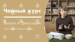 Дегустации чая. Как описать чай | Чайный курс от Art of Tea, лекция 4