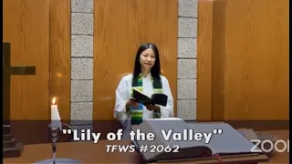 [Hymnal] Lily of the Valley