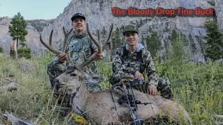 Deer Hunting THE BLOODY DROP TINE BUCK - Unbelievable Bow Hunt!