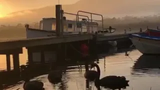 Wooden Boat Centre Tasmania