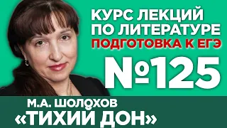 М.А. Шолохов «Тихий Дон» (анализ тестовой части) | Лекция №125