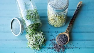 How to Make Broccoli Sprouts