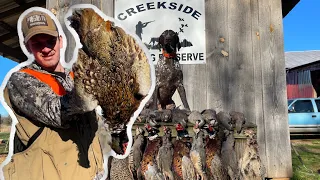 Upland Bird Hunting | PHEASANTS AND CHUKAR