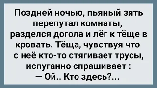 Зять Залез к Теще в Кровать! Сборник Свежих Анекдотов! Юмор!