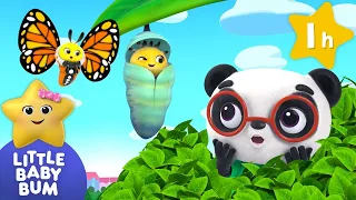 Caterpillar Song ⭐ LittleBabyBum Nursery Rhymes - One Hour Baby Songs Mix