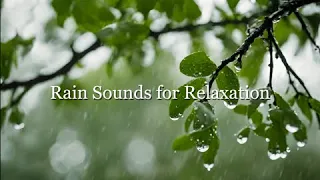 1.5 Hours of Pure Rain Sounds for All-night Relaxation ☔🎵 | Ambient Sounds for Relaxation