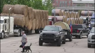 Watch now: Hay-hauling convoy leaves from Waco to help ranchers after wildfires