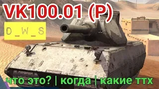 VK100.01 (P) | Немецкий ТТ 8 уровня | D_W_S | Wot Blitz