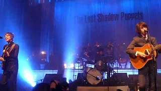 The Last Shadow Puppets - I Don't Like You Anymore [Live at Cirque Royal, Brussels - 19-10-2008]