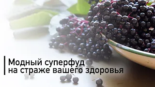 Что делают с организмом человека ягоды асаи | Польза ягод асаи для нашего организма