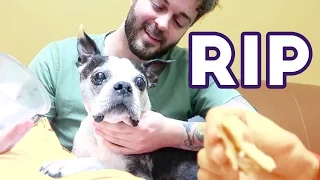 SAYING GOODBYE TO MY BEST FRIEND: A TRIBUTE TO BUSTER BEANS