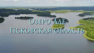 Алё - озеро в Псковской области.