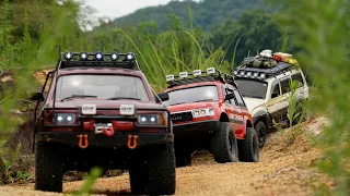 RCModelex│TRX-4│SCX10-II│Land Cruiser 80 (LC80) │ Off Road Adventure Part 2/2