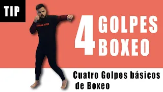 Cuatro Golpes Básicos de Boxeo