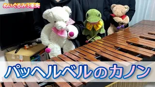 【マリンバ3重奏】ぬいぐるみたちの「パッヘルベルのカノン」"Canon / Johann Pachelbel" - Teddy bears Marimba trio