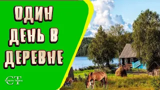 Звуки деревни. Атмосфера сельской местности. Звуки природы.