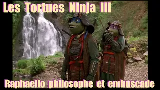 Les Tortues Ninja 3 - Raphaello philosophe et embuscade / GAMER CAGOULER