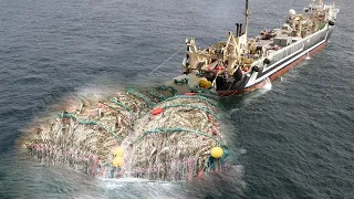 Life on the Most Advanced Deep Sea Fishing Vessel - Unbelievable Hundreds of tons of fish are caught