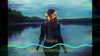 Акула-Ради тебя(Blettur remix 2023)