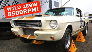 SCREAMING 289 ONBOARD! - Wild GT350 Shelby Mustang Racer