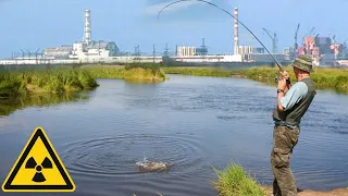 Fishing in CHERNOBYL IN 2022 / What can you catch in PRIPYAT? FISH in Chernobyl!