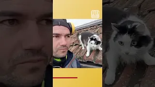 Owner Mimics Cat's Voice