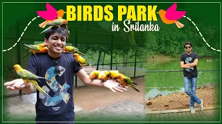 Bird Park in Hambantota | Places to visit in Srilanka | Sreekar Andavarapu | Srilanka