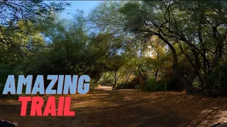 Mountain Biking Trail 100 Near Phoenix Arizona one of the best trails to ride a mountain bike