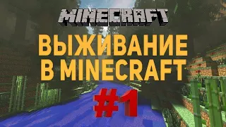 Ванилла #1 - Новое приключение! | Выживание в Майнкрафт без модов