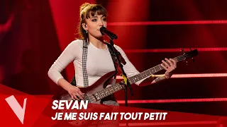 George Brassens - 'Je me suis fait tout petit' ● Sevan | Lives | The Voice Belgique Saison 9